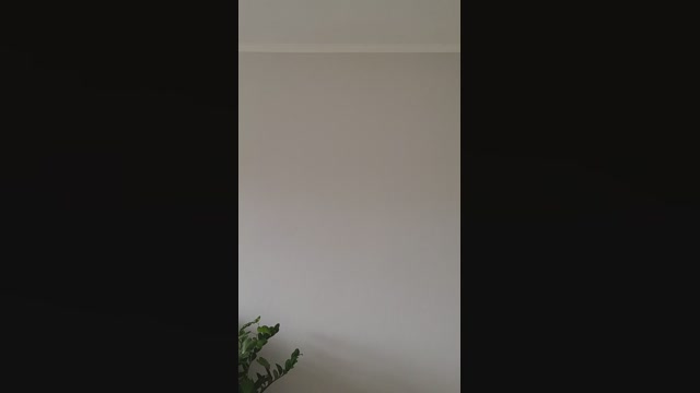 alex_delarge  07-06-2022